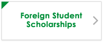 Foreign Student Scholarships