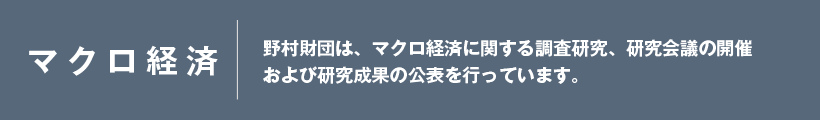 マクロ経済